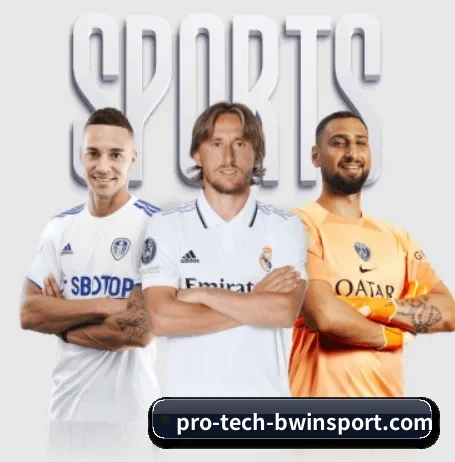 必赢体育 APP 界面(Bwin Sports)
