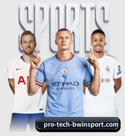 我们在做什么 | Bwin Sports